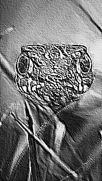 Skamielina