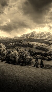 Sepia