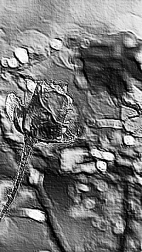 Skamielina