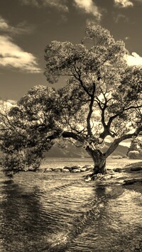 Szary + Sepia