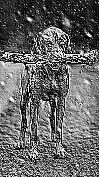 Skamielina