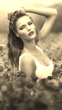 Szary + Sepia