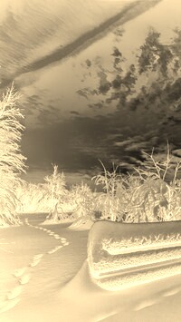 Sepia + Negatyw