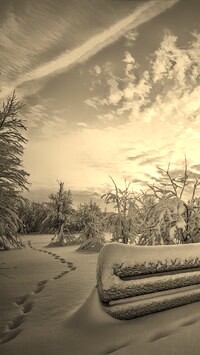 Szary + Sepia