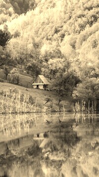 Szary + Sepia