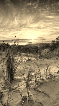 Szary + Sepia