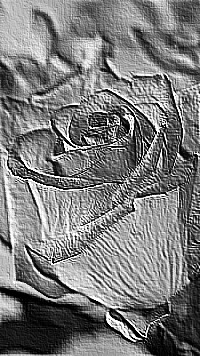 Skamielina
