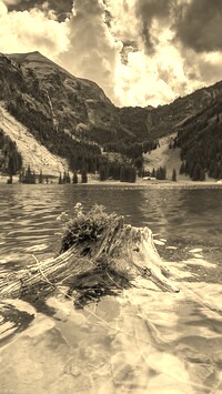 Sepia
