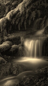 Sepia