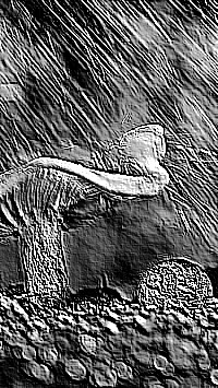 Skamielina