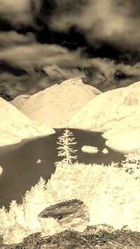 Sepia + Negatyw