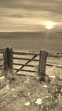 Szary + Sepia