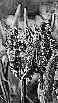 Skamielina
