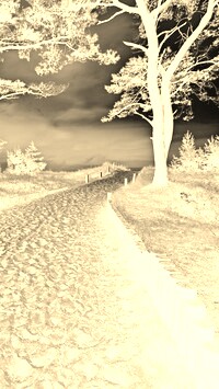 Sepia + Negatyw