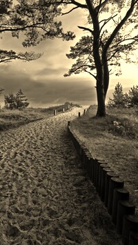 Sepia