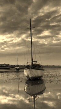 Szary + Sepia
