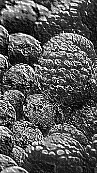 Skamielina