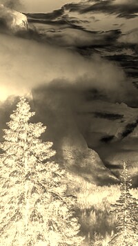 Sepia + Negatyw