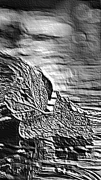 Skamielina