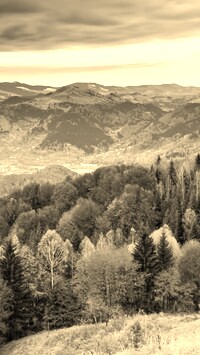 Sepia