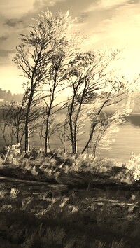 Szary + Sepia