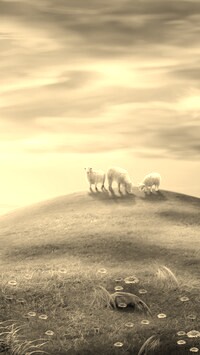 Szary + Sepia
