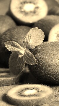 Szary + Sepia