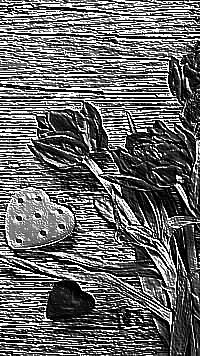 Skamielina
