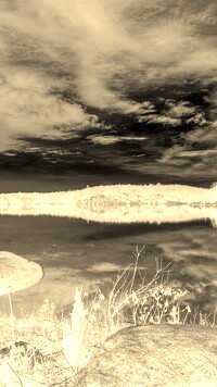 Sepia + Negatyw