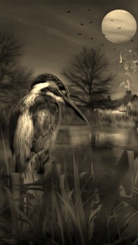 Szary + Sepia