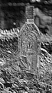 Skamielina