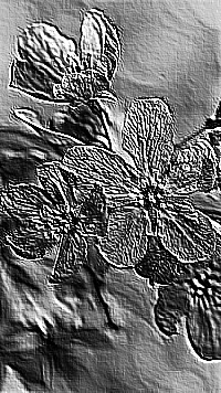 Skamielina