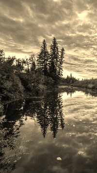 Szary + Sepia