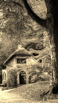 Szary + Sepia