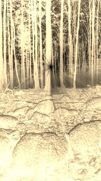 Sepia + Negatyw
