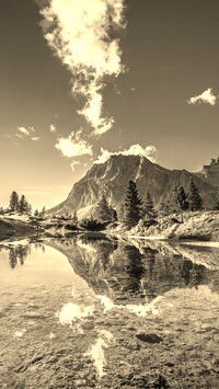 Szary + Sepia