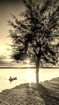Szary + Sepia