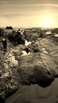 Sepia
