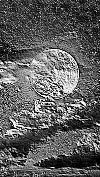 Skamielina