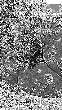 Skamielina