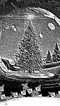 Skamielina