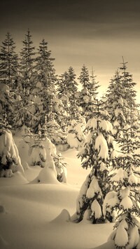 Szary + Sepia