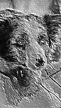 Skamielina