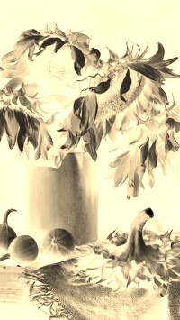 Sepia + Negatyw