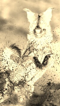 Sepia + Negatyw