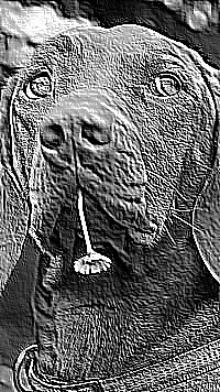 Skamielina