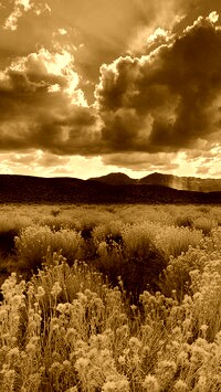 Sepia