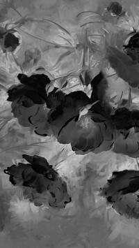 Szary + Negatyw