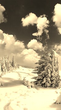 Sepia