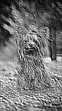 Skamielina